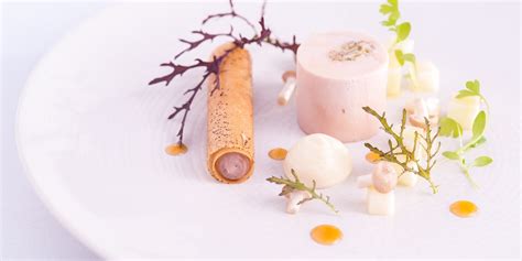 Michelin Star Starter Recipes - Great British Chefs