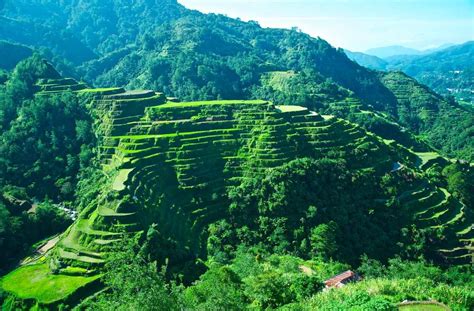 Banaue Rice Terraces – GoldPoster Free Stock Photos