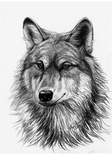 Free Wolf Head Art, Download Free Wolf Head Art png images, Free ...