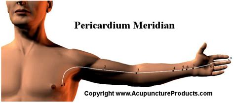 Pericardium Meridian The Hand Terminal Yin (Jue Yin) of the Pericardium ...