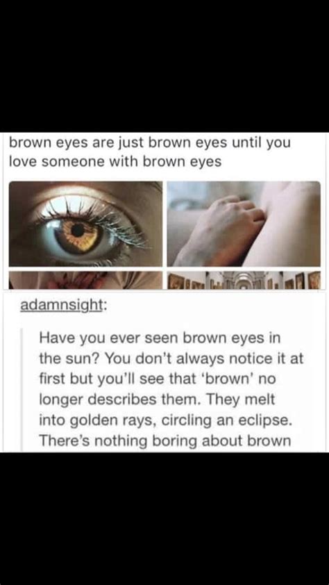 婀 蹇 涓 -琛 涓 棰 瀵艰 | Brown eye quotes, Eye quotes, Quotes