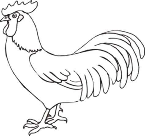 Download High Quality chicken clipart black and white rooster Transparent PNG Images - Art Prim ...