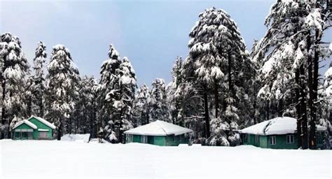 Patnitop Snowfall Time 2020 - Sadi kuwu