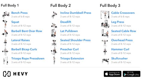 3 Day Split Workout - Complete Guide (2024) - Hevy #1 Workout Tracker