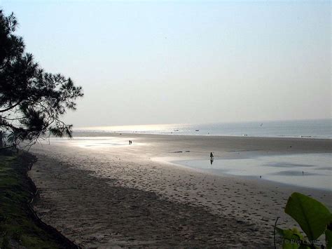 Tours and Travels: Bakkhali Beach In West Bengal,Beaches In India