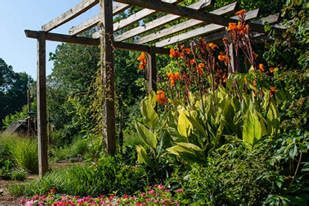 South Carolina Botanical Garden | Field Trips - Clemson, SC