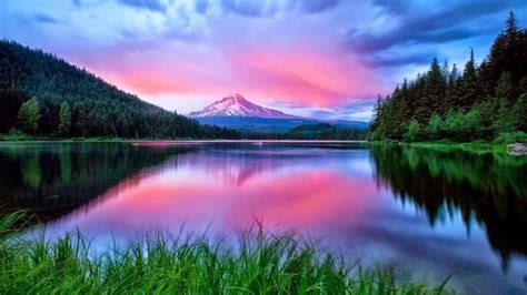 [28+] Latest Beautiful Nature Wallpapers on WallpaperSafari | Nature photography, Nature ...