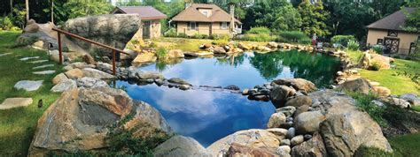 Natural Swimming Pools Are the Charming, Chemical-Free Alternative to Chlorine Pools