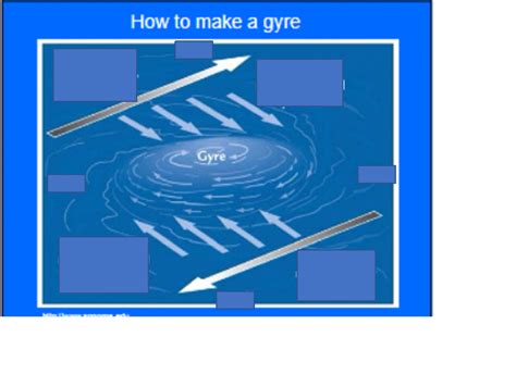 How to make a gyre Diagram | Quizlet