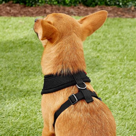 Puppia Soft Dog Harness, Black, Small - Chewy.com