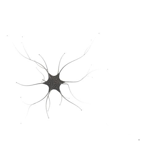 neuron cell animation ready 3d model