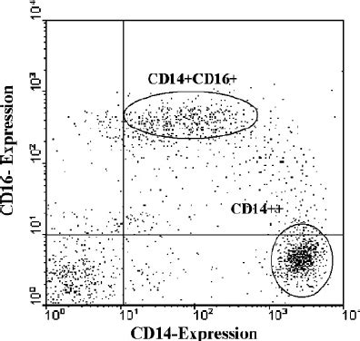 Expression of CD14 + CD16 + cells in haemodialysis patients.... | Download Scientific Diagram