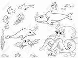 Coloring Pages Sea Kids Creatures Seaweed Marine 30seconds Fish Marino  sketch template