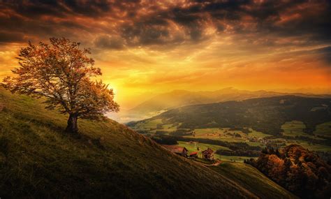 landscape, Valley, Trees Wallpapers HD / Desktop and Mobile Backgrounds