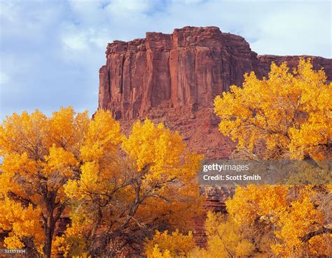 Wingate Sandstone In Canyonlands National Park High-Res Stock Photo - Getty Images