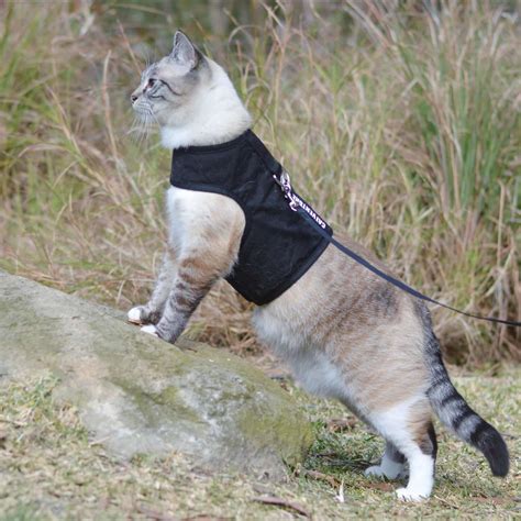 Catventure - Escape Proof Cat Harness – Cat Harness Australia