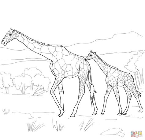 Gambar Baby Jungle Animal Coloring Pagespin Giraffes Clip Art Pictures Sheets di Rebanas - Rebanas