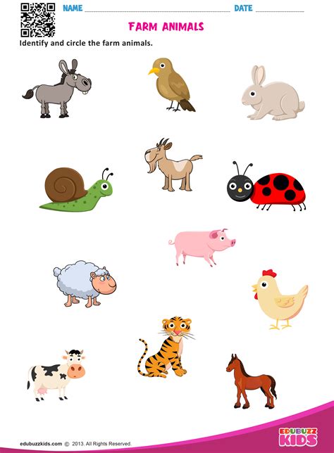 Science Worksheets Grade 4 Animals