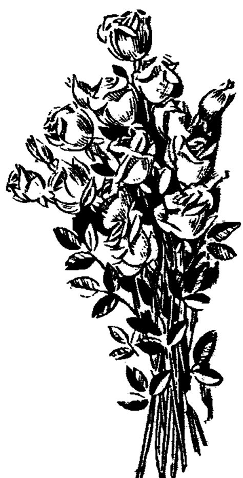 Download High Quality rose clipart black and white bouquet Transparent PNG Images - Art Prim ...