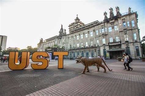 Plaza Mayor’s tiger to undergo facelift