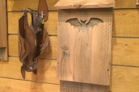 Bat House Placement Tips | Backyard Bird Shop