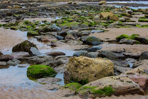 Robin Hoods Bay Beach Free Stock Photo - Public Domain Pictures