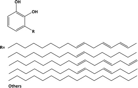 Synthesis of an urushiol derivative and its use for hydrolysis ...