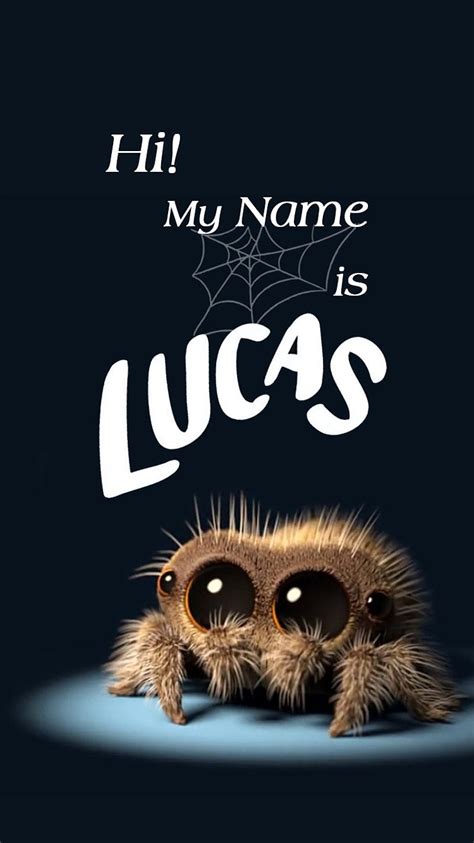 Lucas Spider mtPXs, cute, nature, web, HD phone wallpaper | Peakpx