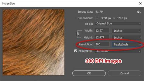 How to Convert Images to 300 dpi - Clipping Photo Experts