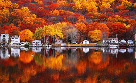 Maple tree, photography, water, fall, reflection HD wallpaper | Wallpaper Flare