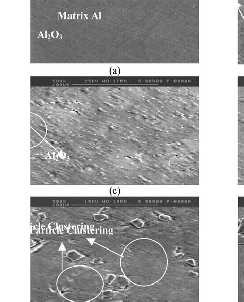 SEM Micrograph of aluminium metal matrix composite reinforced with... | Download Scientific Diagram