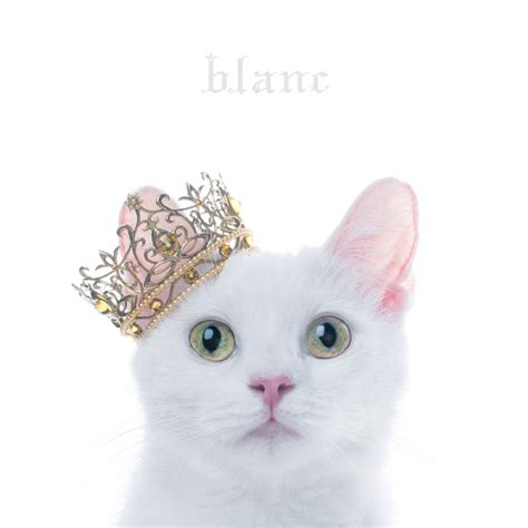 [Album] Aimer - BEST SELECTION "blanc" (iTunes Plus AAC M4A)