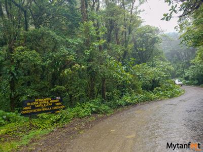 Santa Elena Cloud Forest Reserve: The Cloud Forest Guide