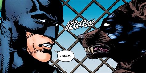 Batman Gets a Dog in DC's New Universe | Screen Rant