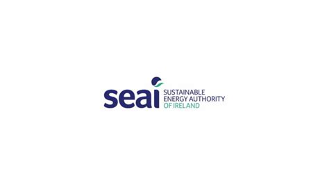 Empowering Your Fleet with Sustainable Solutions | SEAI: Electric Vehicles for Business Grant