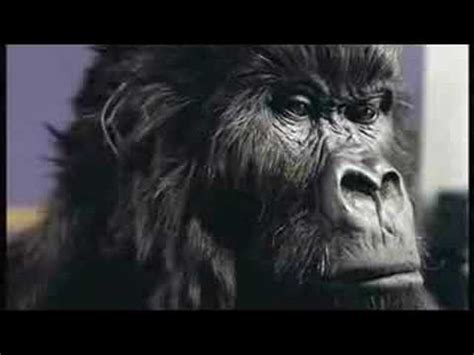 Cadbury Gorilla Advert - In The Air Tonight - YouTube