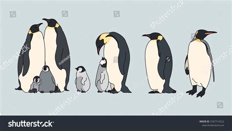 Discover more than 79 realistic penguin sketch - seven.edu.vn