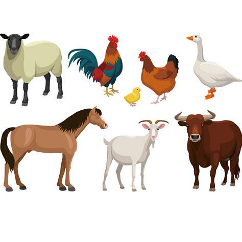 Cattle Goat Sheep Livestock - Farm animal vector illustration png download - 1500*1500 - Free ...