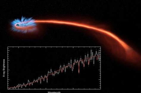 Astronomers see spaghettification of star by a black hole - UPI.com