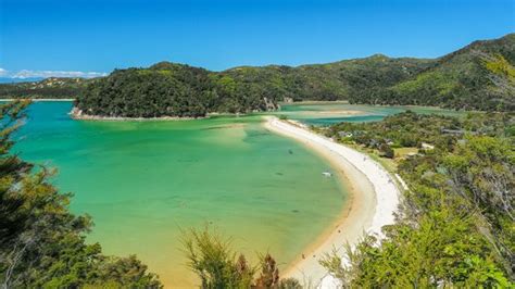 9 of the best Abel Tasman beaches | Intrepid Travel Blog - The Journal