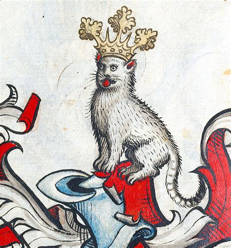 King Derpy : r/MedievalCats