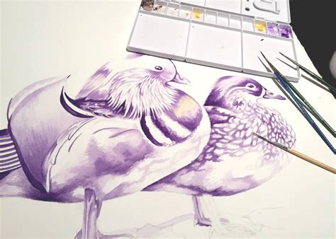 Mandarin Duck Couple Illustration on Behance