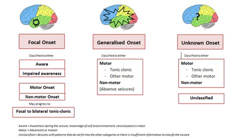 Seizure Types and Classification | Epilepsy Action Australia Atonic Seizures, Types Of Seizures ...