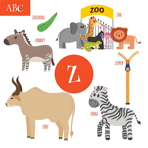 70+ Zebu Cartoons Stock Photos, Pictures & Royalty-Free Images - iStock