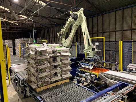 Robotic Palletizing for Cases, Cartons, Bags, and Pails | NOVA Automation