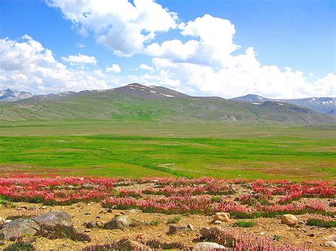 Marvelous Pakistan: Beautiful Pakistan: Deosai National Park