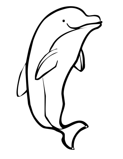 Cute Dolphin Coloring Pages at GetDrawings | Free download