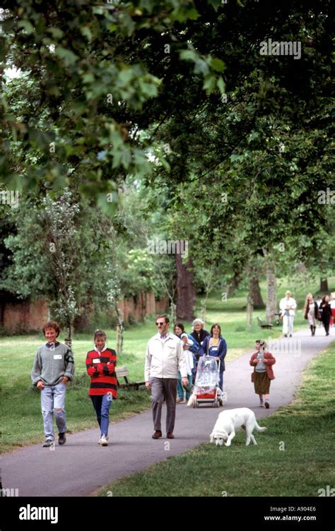 people walking in the park with a dog Stock Photo - Alamy