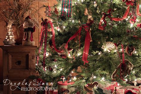 Christmas Tree Photo | Professional Photographer Tips