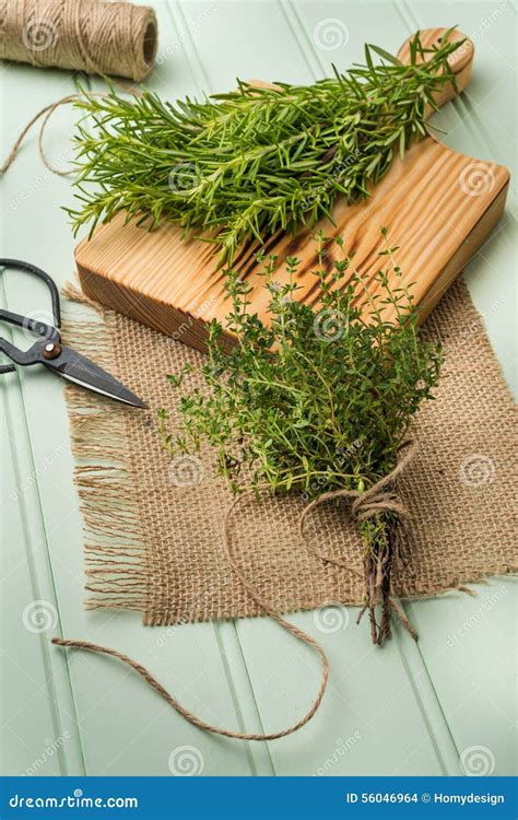 Rosemary and thyme stock photo. Image of bouquet, nature - 56046964